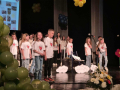 DanSkole13