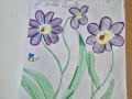 IMG-7479dc28c31784b1a37d7d94908b5856-V