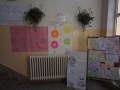 DSC05211.jpg