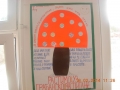 DSCN0319.JPG