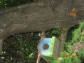 DSCN0651.JPG