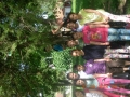 DSCN0652.JPG