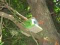DSCN0654.JPG