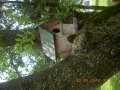 DSCN0688.JPG