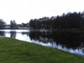 IMAG0160