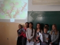 DSC03448.jpg